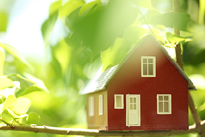 Environmentally friendly home surrounded by green trees Environmental friendly home