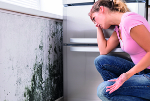 planned-maintenance avoid mould