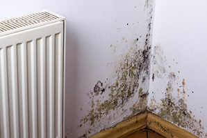 How can I get rid of condensation and mould